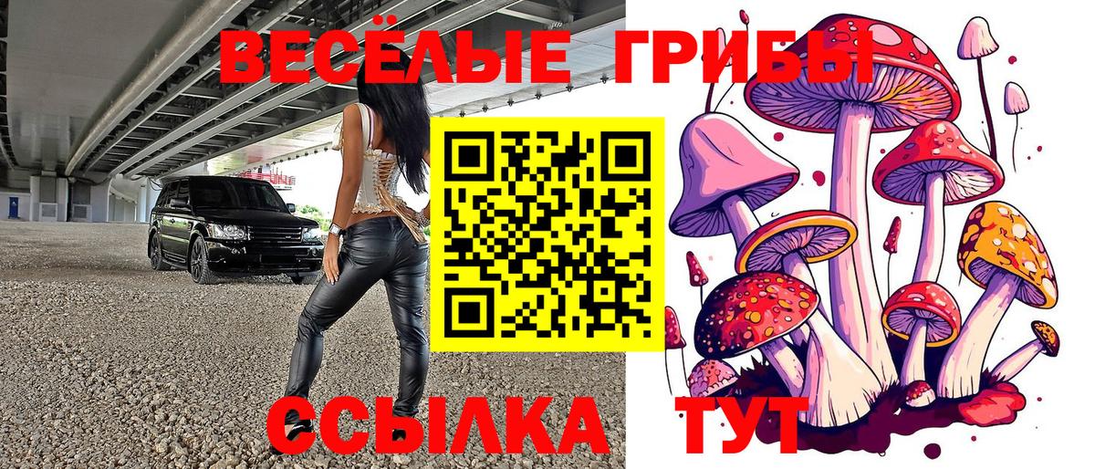 Псилоцибиновые грибы Psilocybe  Вход с VPN  как найти закладки  Славянск-на-Кубани  Псилоцибиновые грибы GOLDEN TEACHER 