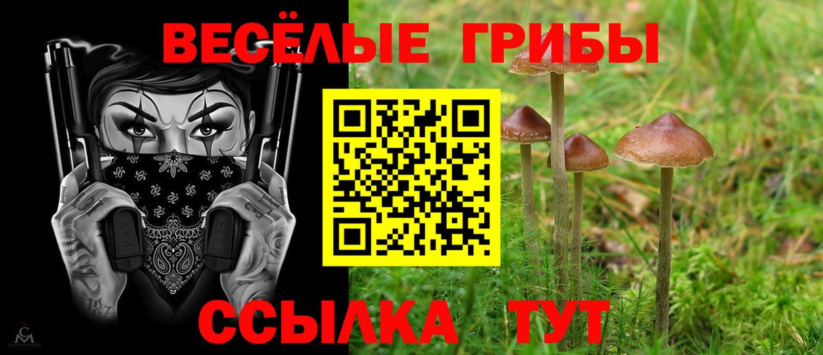 Галлюциногенные грибы MAGIC MUSHROOMS Славянск-на-Кубани